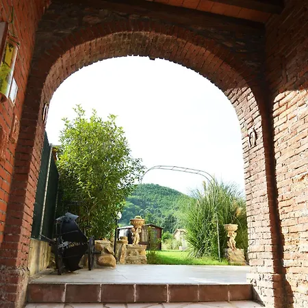 Giovanna - Lucca